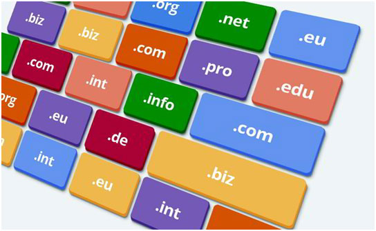 Domain Name Security