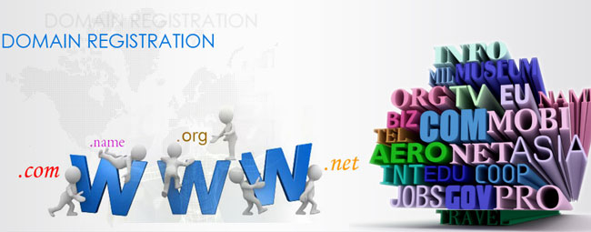 Domain Name Registration