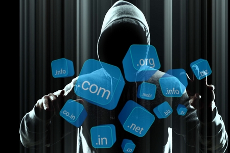 Domain Theft And Its Prevention