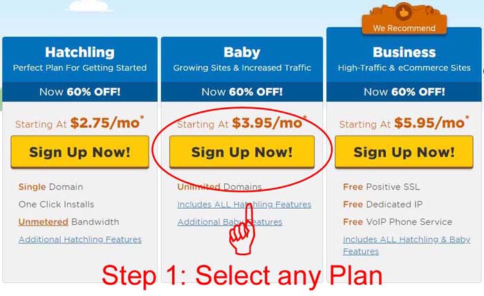 Selecting the hosting plan Selecting the Plan