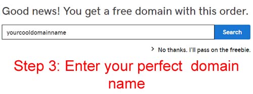 Enter you Perfect Domain name - GoDaddy GoDaddy Coupon Codes for Shared Hosting