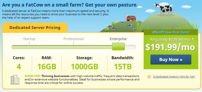 Fatcow Dedicated Hosting Plans Fatcow Dedicated Hosting Coupon Codes
