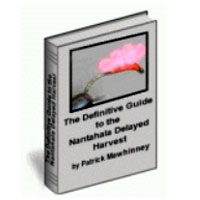 The Definitive Guide - Georgiafishingbooks.com The Definitive Guide - Georgiafishingbooks.com