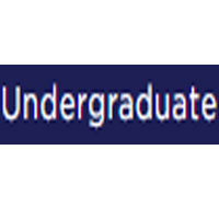 Academic Level Undergraduate Essay | Wowessays.com Academic Level Undergraduate Essay | Wowessays.com
