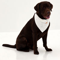 Adalira Bandana Bib | Lovebonito.com