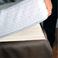 Bedbug Arthropad | Carolwright.com Bedbug Arthropad | Carolwright.com