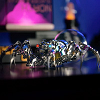 Cyberpunk Plasma Ball Spider - Mostarle.com