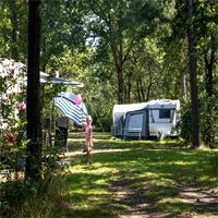 Forest Place Camping - Devossenburcht.nl Forest Place Camping - Devossenburcht.nl