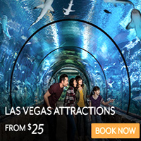 Las Vegas Attraction Event Ticket | Vegas Las Vegas Attraction Event Ticket | Vegas