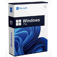 Microsoft Windows 11 Pro License : Licentiepromo Microsoft Windows 11 Pro License : Licentiepromo