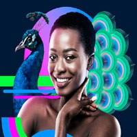 Pro 2023 Ultimate Photo Editing Software - Paintshoppro Pro 2023 Ultimate Photo Editing Software - Paintshoppro