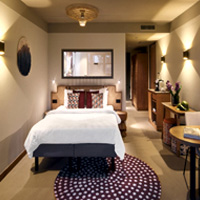 Savanna Suite Safari Hotel Booking : Beekse Bergen