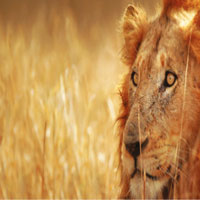 Ultimate South Africa Tours : Travelsphere