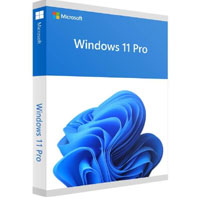 Windows 11 Professional : Lizenzguru